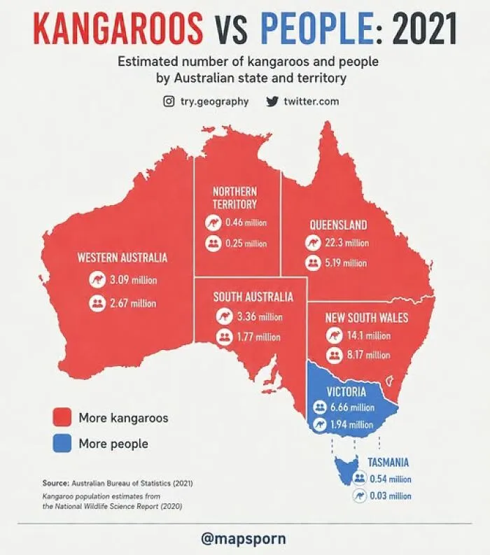 Think You’re Safe In Australia? The Kangaroos Actually Run The Place!