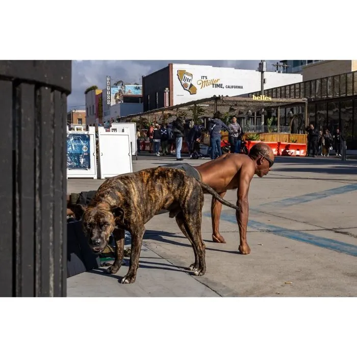 40 Times The Streets Looked Hilarious, Awkward, And Totally Relatable Through This Photographer’s Lens (New Pics)