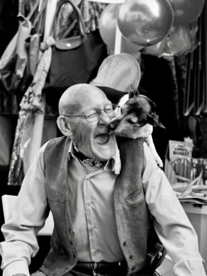 31 Remarkable Animal Encounters, As Shared By Pure Street Photography