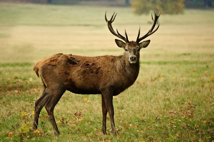 65 Random Fun Facts That Might Make Your Day