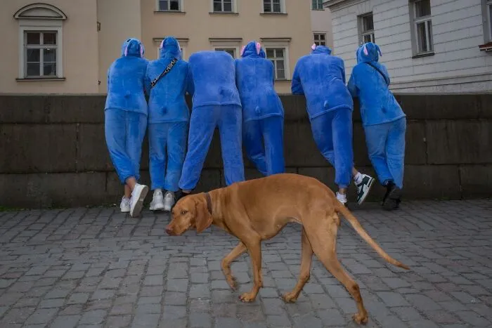 31 Fun Accidental Moments Captured By This Street Photographer (New Pics)