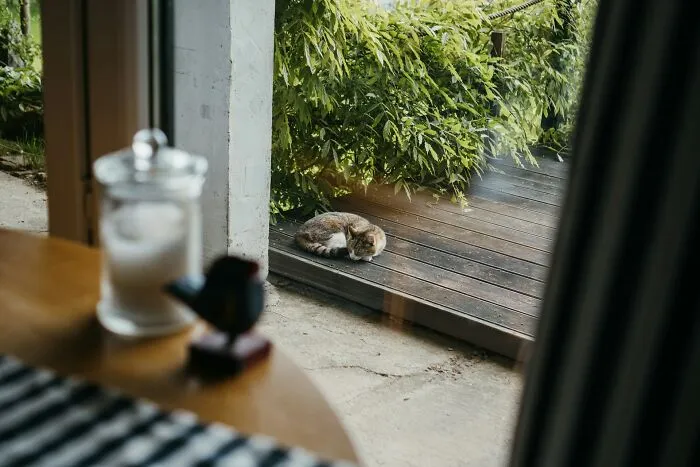 "I Fear It's Over": 59 Messy Secrets People Could Never Reveal To Their Closest Friends