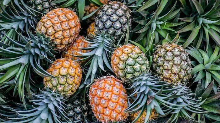 65 Random Fun Facts That Might Make Your Day