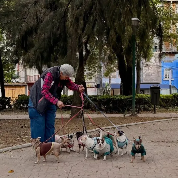 31 Remarkable Animal Encounters, As Shared By Pure Street Photography