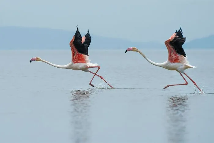 65 Random Fun Facts That Might Make Your Day