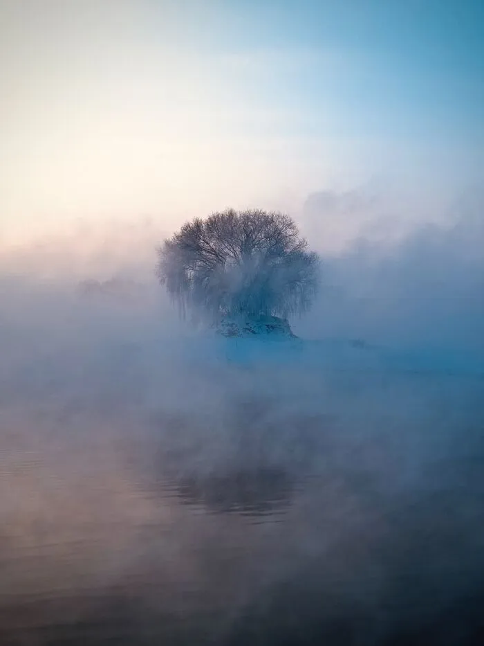 Nature, 1st Place, Photo  By Tianjiao Zhang (China)
