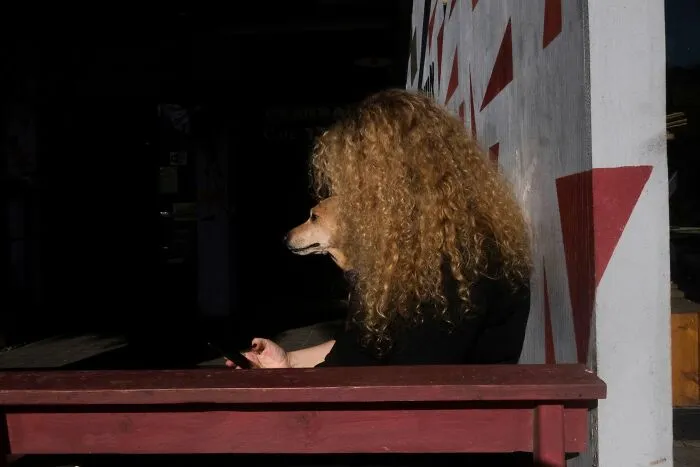 47 Perfectly Timed Candid Dog Photos By This Street Photographer