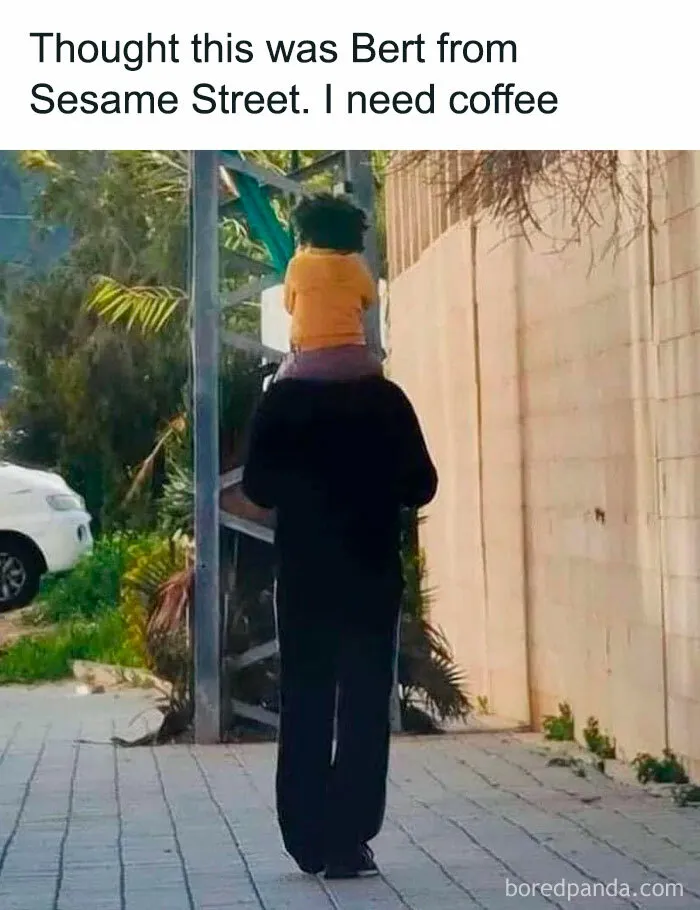 Bert