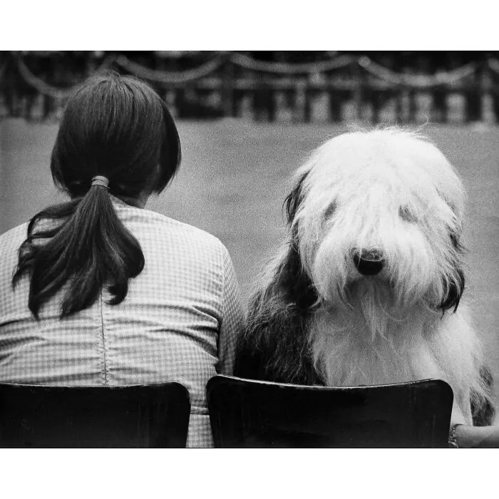 31 Remarkable Animal Encounters, As Shared By Pure Street Photography