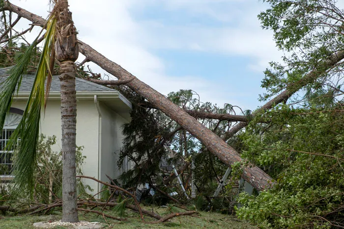 47 Terrifying Real-Life Events That Survivors Will Probably Never Forget