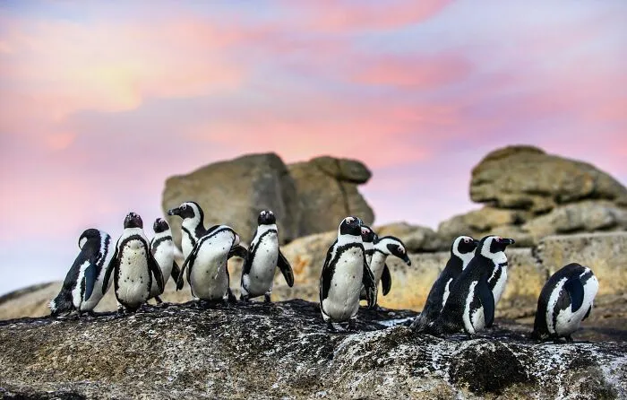65 Random Fun Facts That Might Make Your Day
