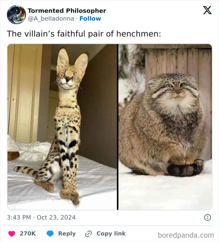 If You’re Having A Rough Day, These 66 Memes And Comments Might Help You Bring Your Smile Back