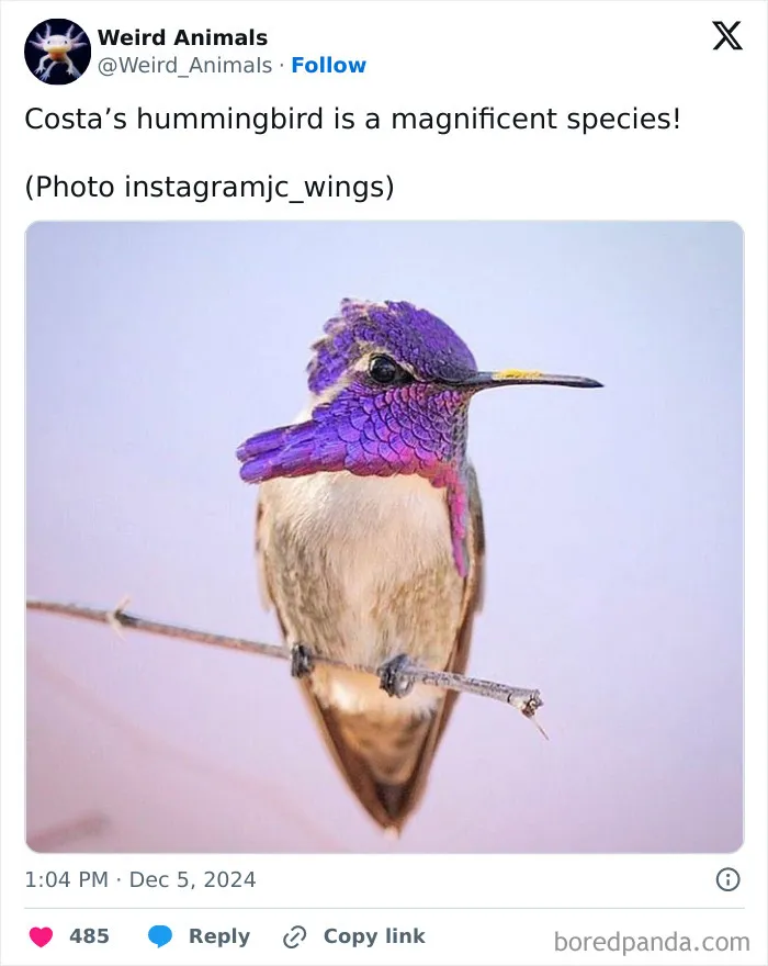 105 Weird And Wonderful Animals You Might Not Know About (New Pics)