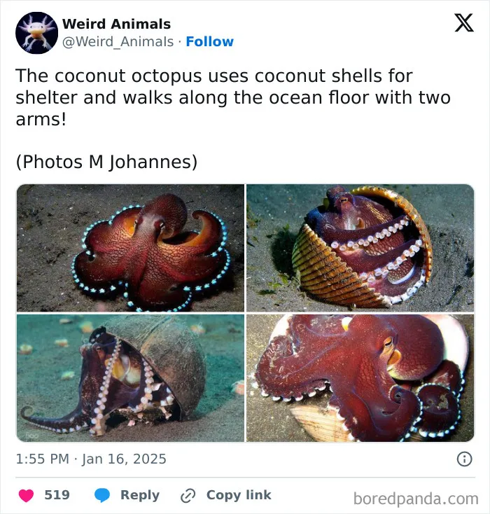 105 Weird And Wonderful Animals You Might Not Know About (New Pics)
