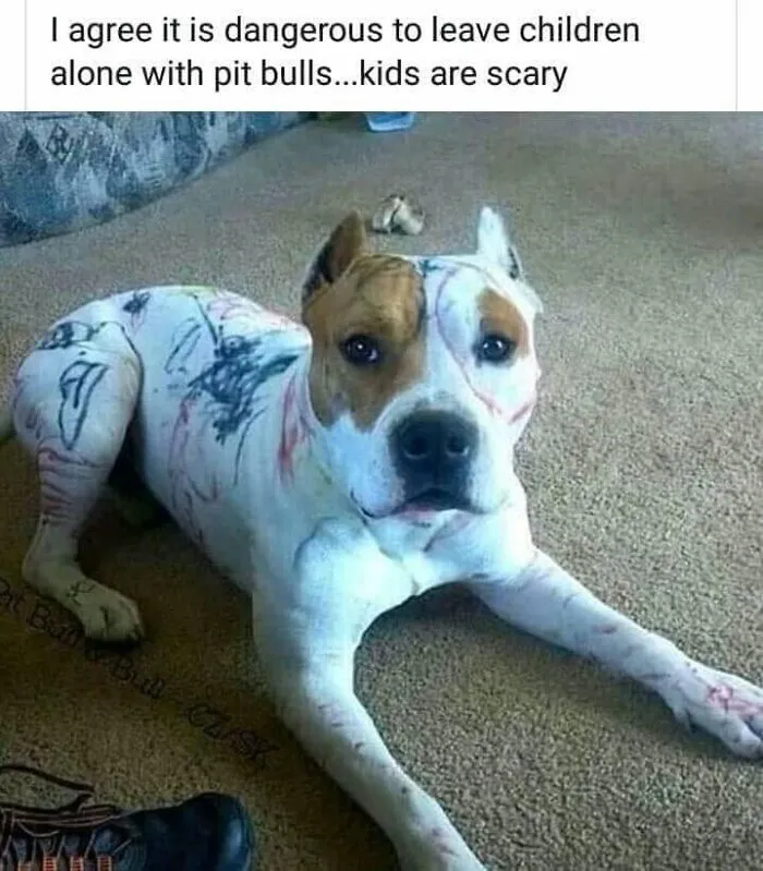 49 Funny Memes Shared By “Dog Memes Galore” That Pet Owners Might Relate To