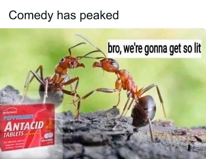 87 Funny Memes That Are Too Good To Keep To Yourself (New Pics)