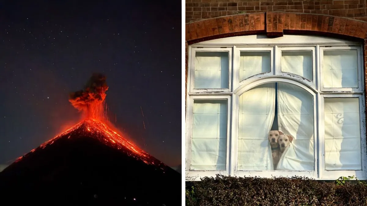 39 Stunning Images That Earned Top Honors At The 2026 iPhone Photography Awards