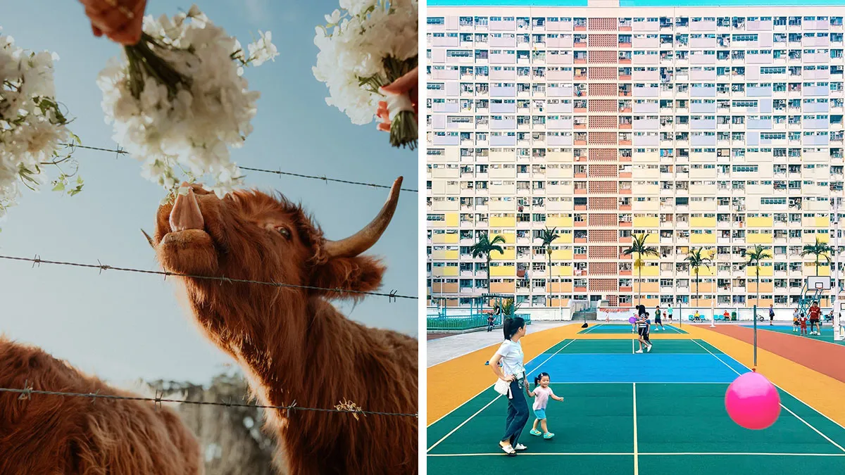 40 Winning Photos By Professionals Who Turned Color Into A Storytelling Tool
