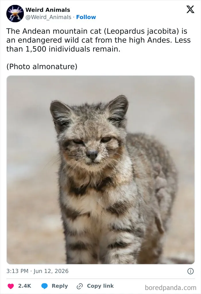 105 Weird And Wonderful Animals You Might Not Know About (New Pics)