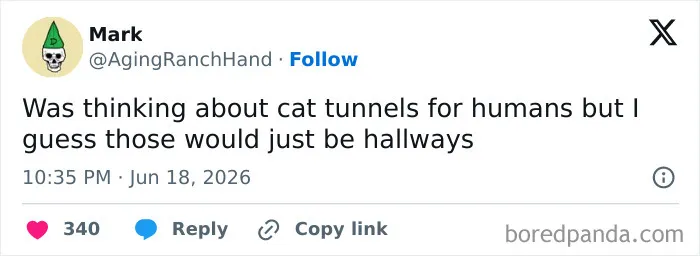 A screenshot of a funny tweet about cat tunnels for humans on Twitter.