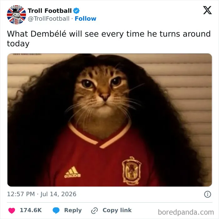 The World Cup 2026 Is Over But The Memes Aren’t—Here Are 100 That Captured This Year’s Chaos