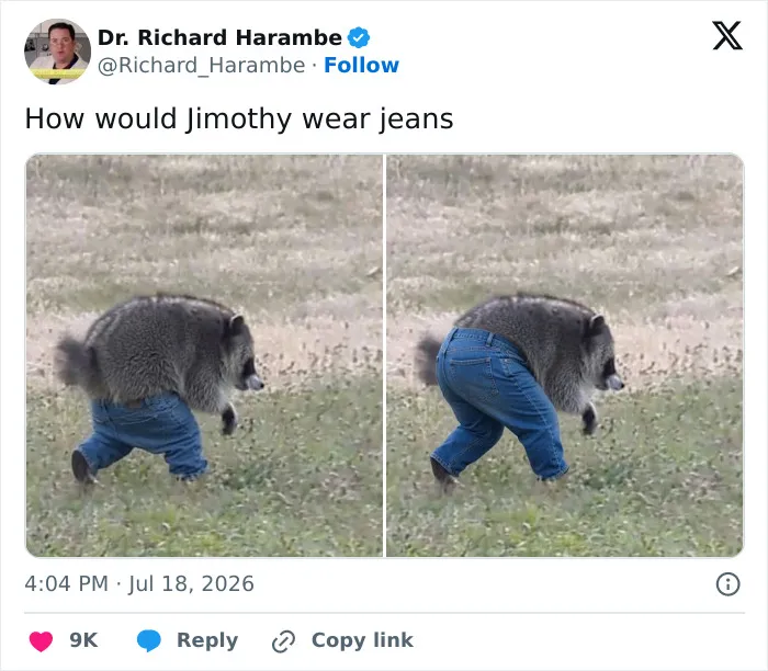 23 Memes That Capture The World's Unhinged Obsession With An Unusually Shaped Raccoon Named "Jimothy"