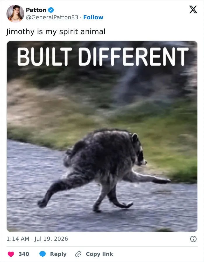 23 Memes That Capture The World's Unhinged Obsession With An Unusually Shaped Raccoon Named "Jimothy"