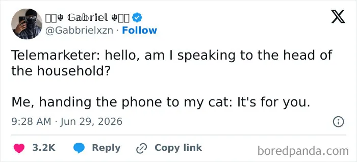 79 Hilarious Tweets That Brightened Everyone's June