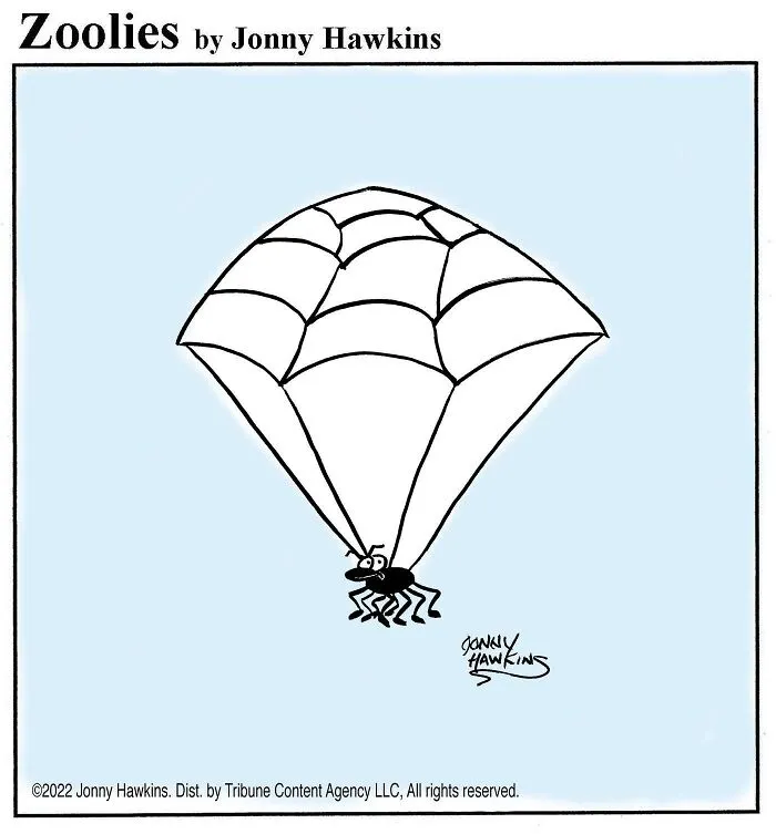 Spider Chute