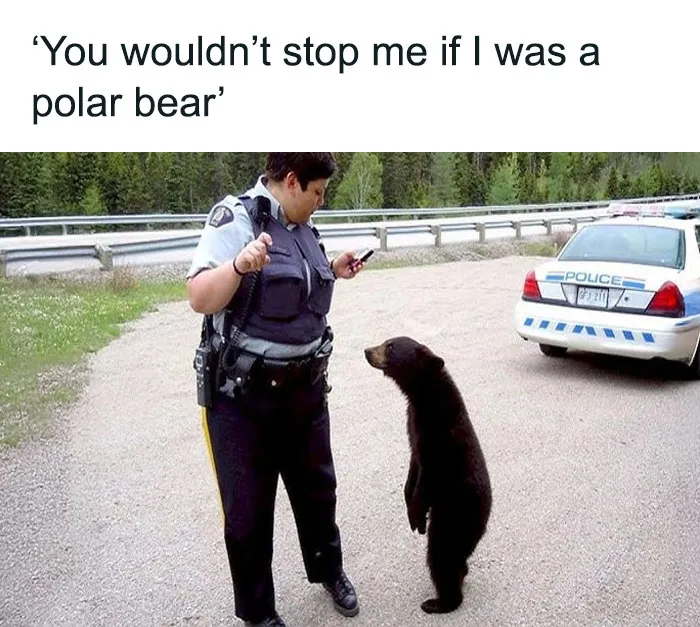 82 Memes That Feel Like They Were Made During A Fever Dream