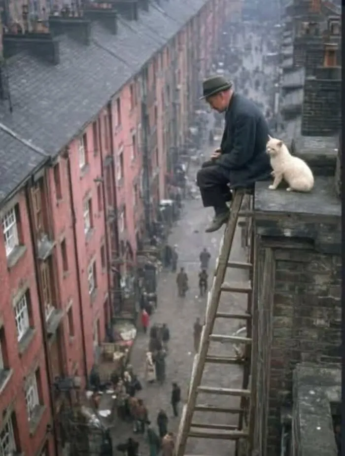31 Remarkable Animal Encounters, As Shared By Pure Street Photography