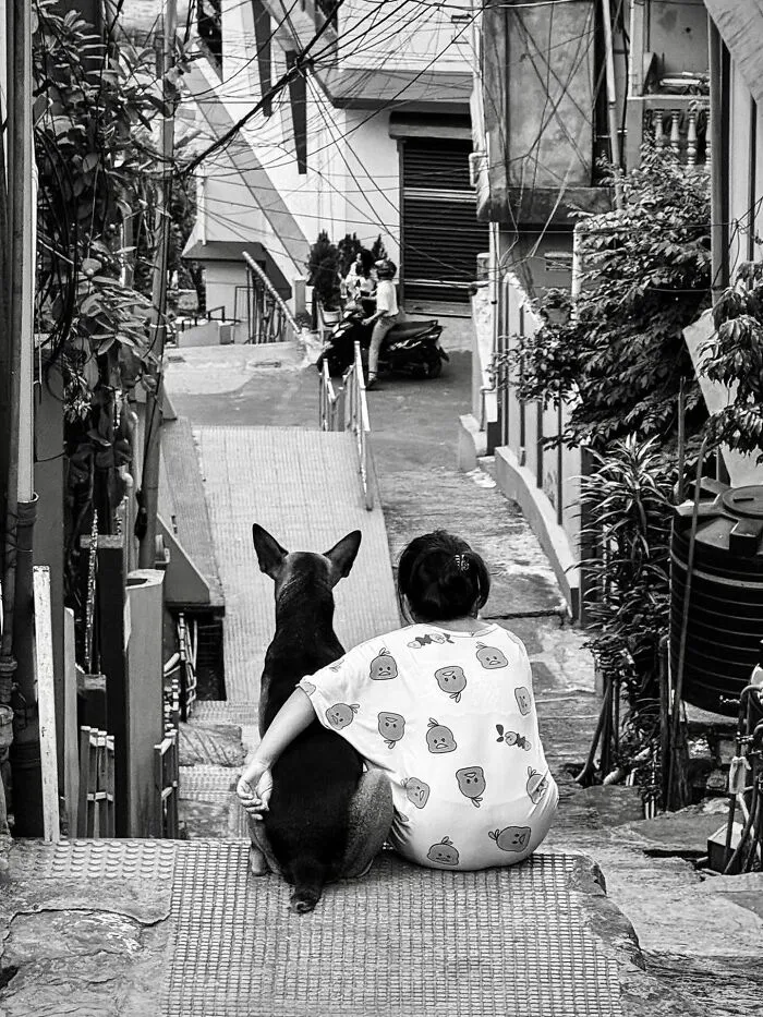 31 Remarkable Animal Encounters, As Shared By Pure Street Photography