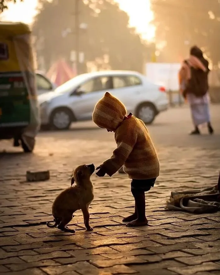 31 Remarkable Animal Encounters, As Shared By Pure Street Photography
