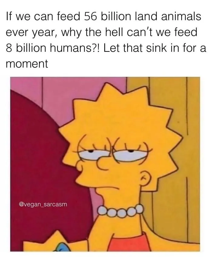 Don’t Choke On Your Salad While You Scroll These 47 Hilarious Vegan Memes