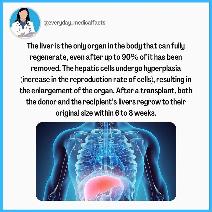 71 Health Facts That Are As Surprising As They Are Educational