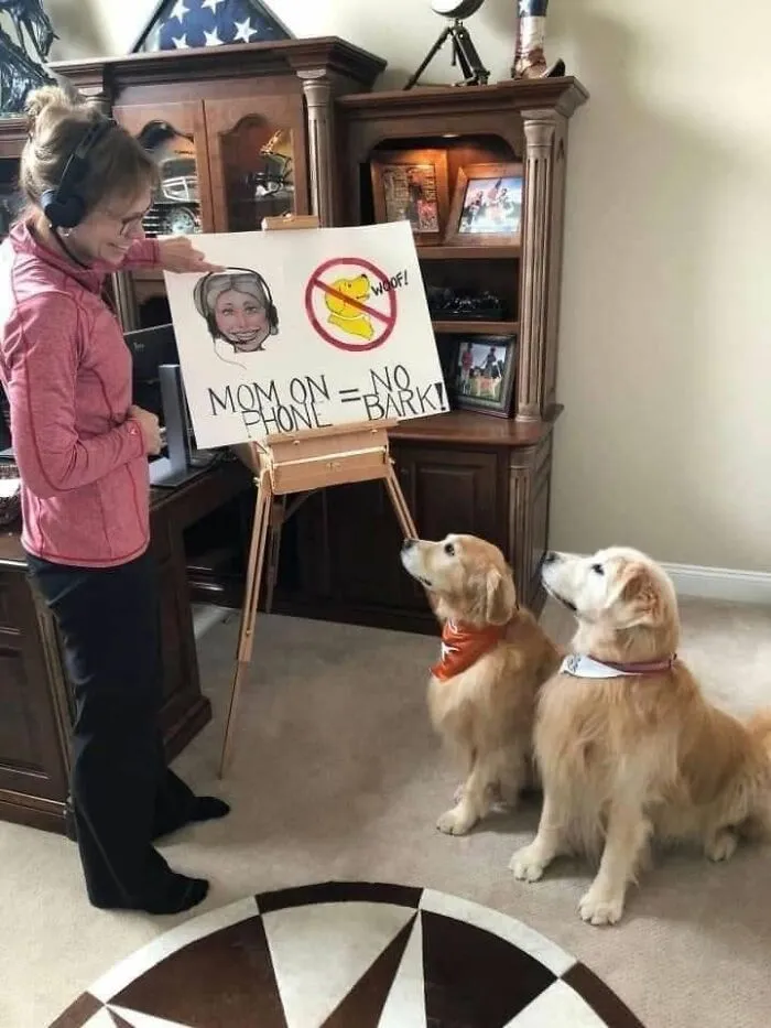 49 Funny Memes Shared By “Dog Memes Galore” That Pet Owners Might Relate To
