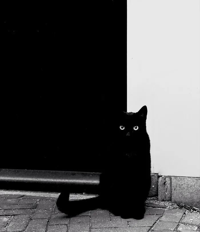 Silver, Photo By Arnold Plotnick (Amsterdam, North Holland)