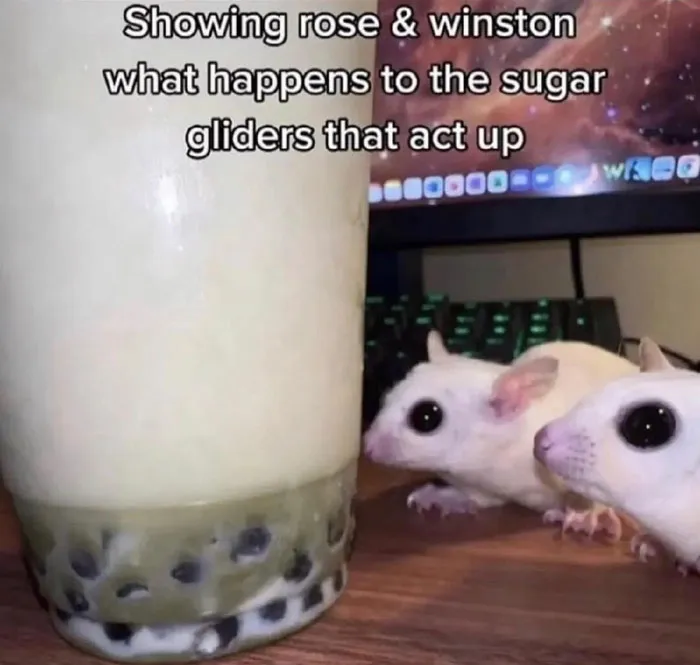 59 Funny And Dumb Screenshots That Show How Weird People On The Internet Can Be