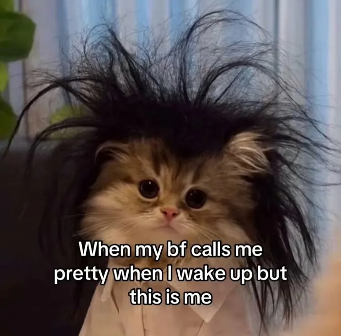 98 Memes That Are Almost Offensive Because They’re So Relatable