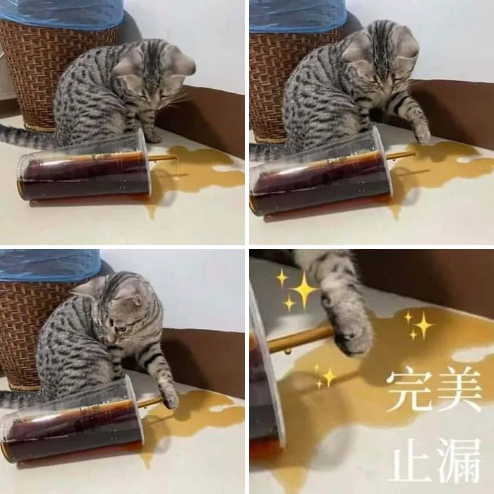 31 Funny Animal Encounters Shared By This Page That Would Sound Fake If Not Caught On Camera