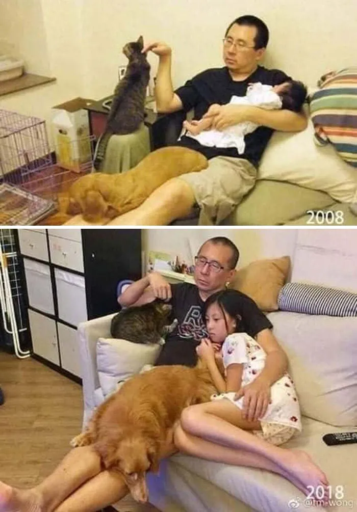 31 Funny Animal Encounters Shared By This Page That Would Sound Fake If Not Caught On Camera