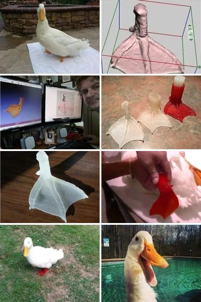 31 Funny Animal Encounters Shared By This Page That Would Sound Fake If Not Caught On Camera