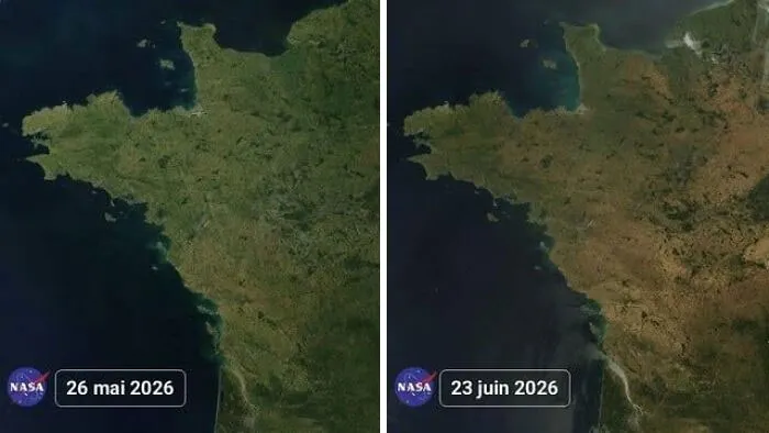 2026 June Heatwave: Effects On Natural Landscape In Western France