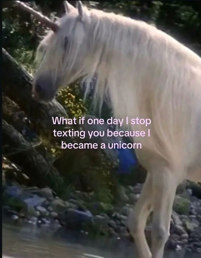 A funny meme of a unicorn by a stream, pondering what if one day texting stops because one became a unicorn.