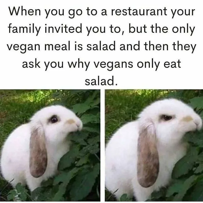Don’t Choke On Your Salad While You Scroll These 47 Hilarious Vegan Memes