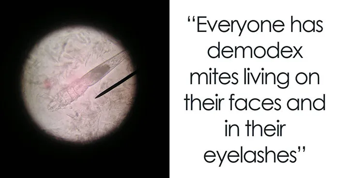 50 Disturbing Facts That Sound Fake But Are Completely True