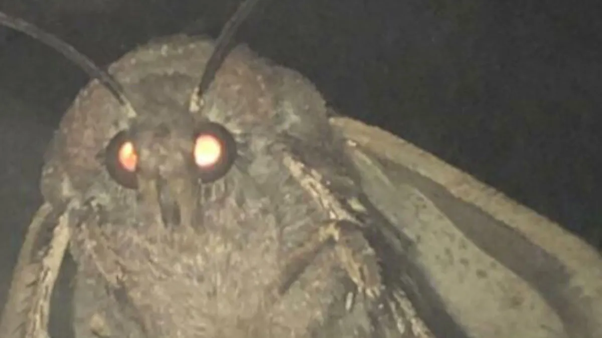 33 Times Nature Decided To Be Its Terrifying Self, And People Weren't Prepared For What They Saw
