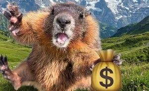 "It's Rare To See Anyone Use It For Good": Professor Breaks Silence On Viral Adult Platform Marmot Campaign