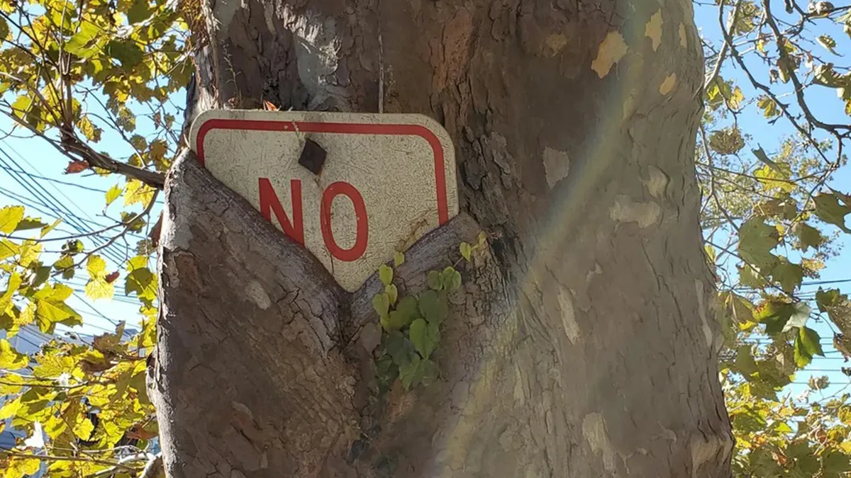 77 Times Trees Ate Something And Left Human Beings Amused