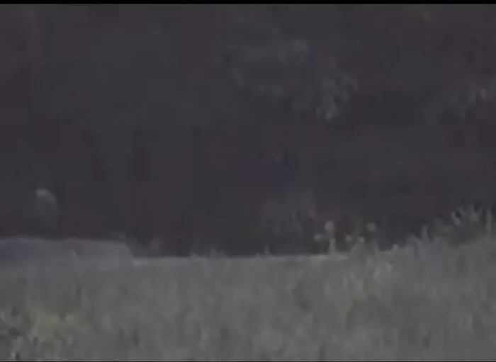 If You Think Every Ghost Video Is Fake, These 25 Clips Might Make You Think Twice